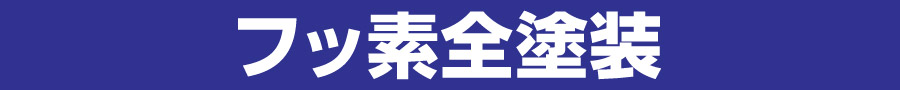 シリコン全塗装