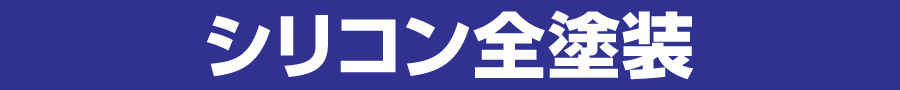 シリコン全塗装